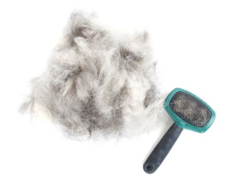 A pile of dog hair (German Shepherd) with a slicker brush.