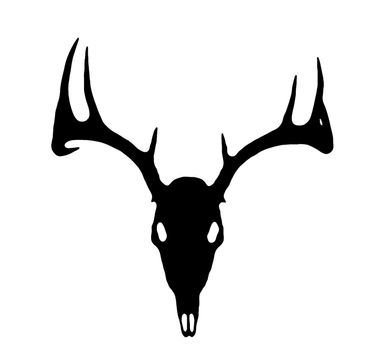 A European Deer Silhouette Black on White 