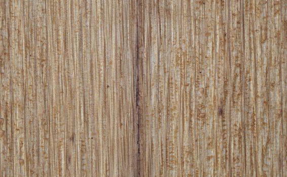  Detailed Closeup of Some Rough Cut Red Cedar 
