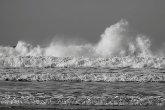 waves in black and white