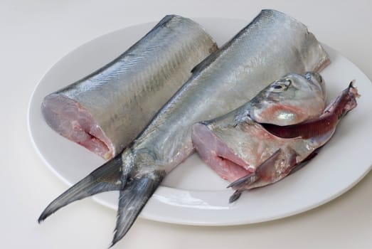 a fresh ribbon fish on a plate, cut into three pieces ready for filleting