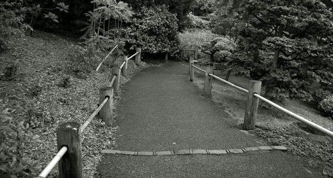 Road with a wooden fence in a tranquil garden in black and white