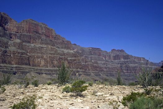 Lifeless desert of Grand Canyon in USA