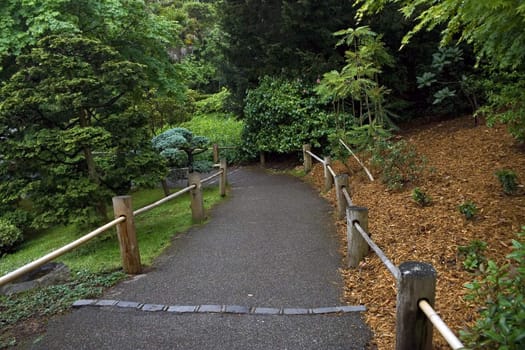 Road with a wooden fence in a tranquil garden