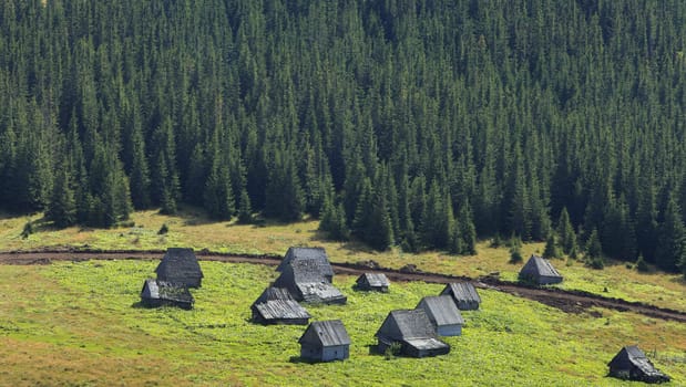 Image of a traditional mountain village in Apuseni Mountains,Romania. The houses are made of wood, without using a single piece of iron.