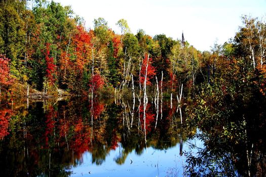 Fall foilage reflecting on a lake in northern Laurentians