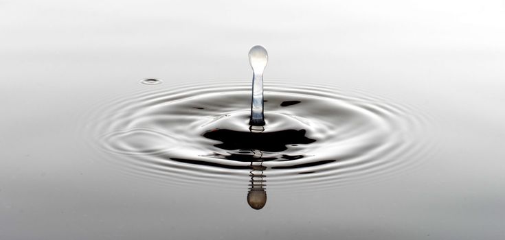 A drop ripples through the otherwise tranquil water