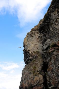 cliffs on the beach in ballybunion ireland