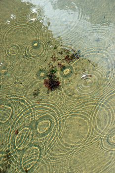 rain drop rippled circles in a beach pool