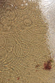 rain drop rippled circles in a beach pool