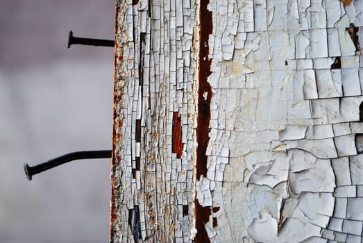 An old wall with cracked paint and a couple of nails.