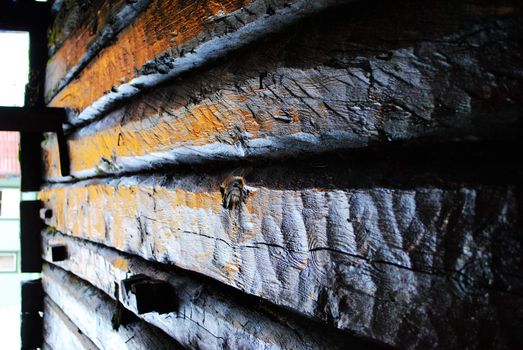 A couple of dark wooden beams at a burn site.