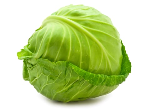 Photo of the single green cabbage against the white background