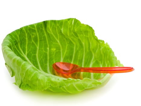 photo of the cabbage leaf and spoon against the white background