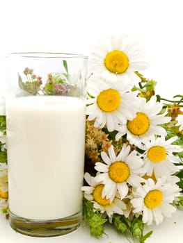 Photo of the milk and camomile against the white background