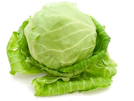 Photo of the single green cabbage against the white background