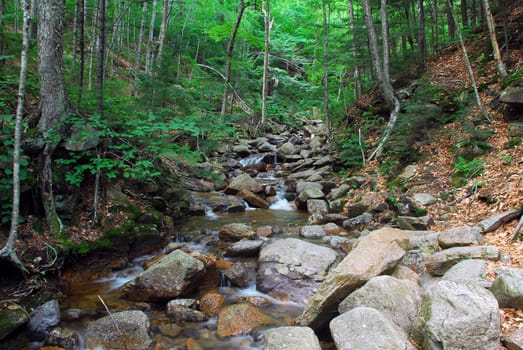 Picture of a natural small water fall in summer