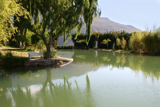 White wrought iron bench and a canoe under a tree at the edge of the water