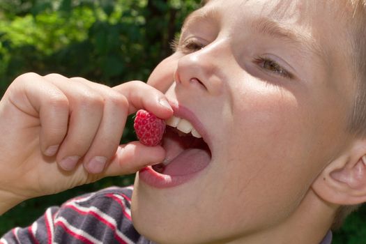 Portret of little smiling boy with raspberry in hand  outdoors