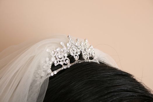 Tiara and veil worn by brunette bride