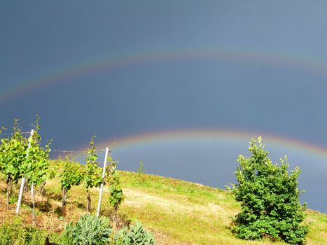 2 Regenbögen
