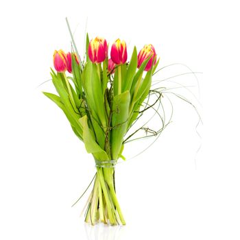 Bouquet of the fresh tulips on white background (with sample text)