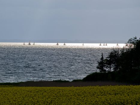 Sailboats yachts race in clear blue sea with field in the foreground 