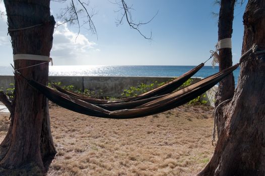 Hammocks in Grand Cayman backyard