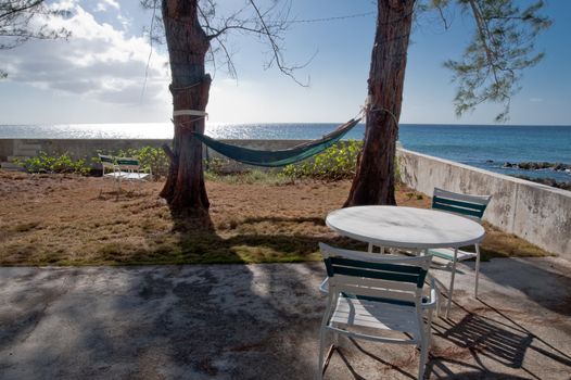 Backyard in the Caribbean