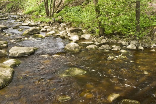 Stream of a small river with rocky bottom