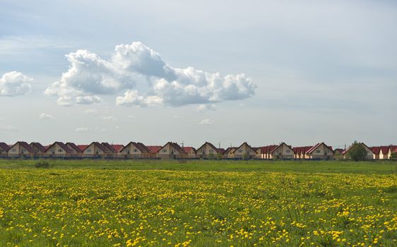 New cottages quarter and field of yellow dandelions