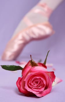 Satin Ballet shoe with a pink rose. FOCUS on Rose