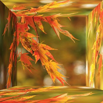 red japanese maple in october autumn month in 3d box
