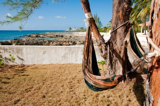 Hammocks in Grand Cayman backyard