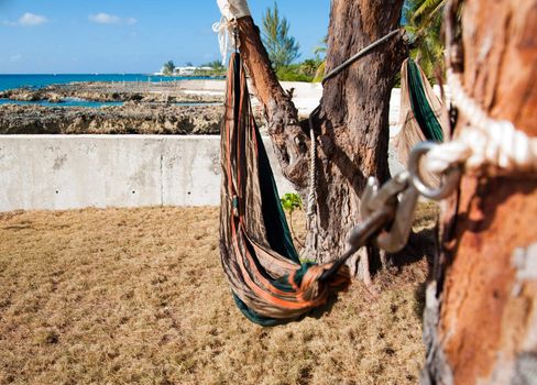 Hammocks in Grand Cayman backyard