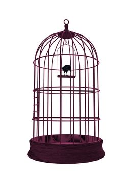 birdcage