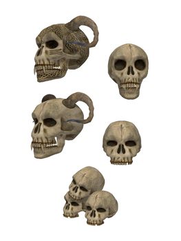 Skulls