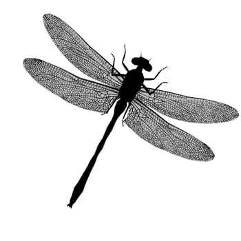 A black silhouette of a dragonfly with wings spread
