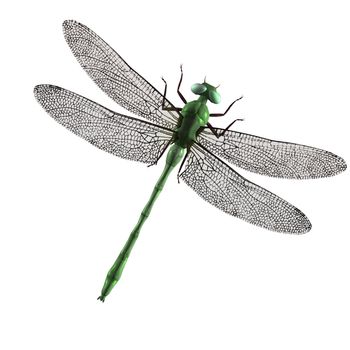 A green dragonfly with green eyes and wings spread
