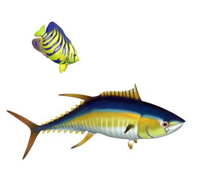 Two tropical fish