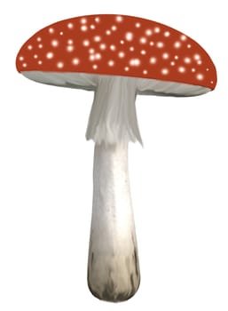 Red mushroom with white polka dots on a white background
