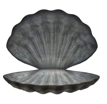 Large blue grey sea shell