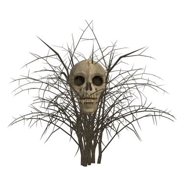 Skull in bush