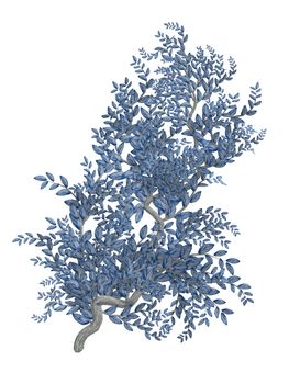 Blue vine with blue bark on a white background