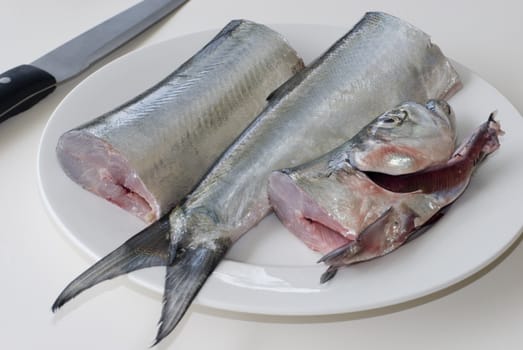 fresh ribbon fish and a filleting knife