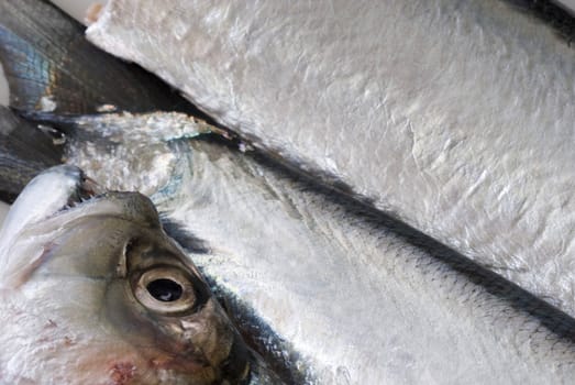 a fresh ribbon fish cut into three pieces ready for filleting