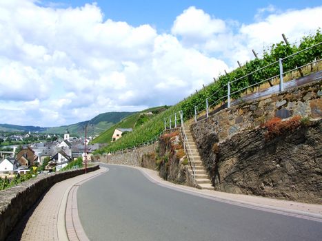 Strasse nach Kinheim an der Mosel
