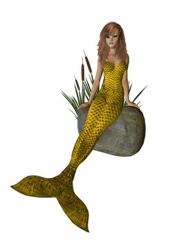 Gold mermaid sitting on a rock with cattails 300 dpi