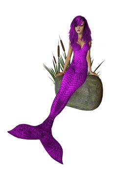 Purple mermaid sitting on a rock with cattails 300 dpi