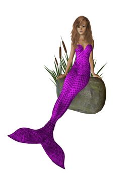 Purple mermaid sitting on a rock with cattails 300 dpi